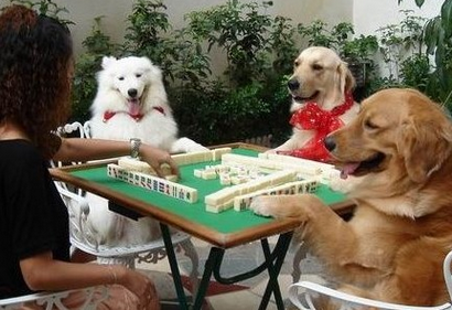 什么?代理友情漆就可做百萬富翁 什么?代理友情漆就可做百萬富翁