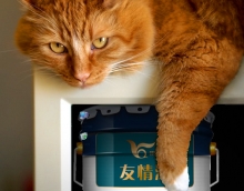 友情木器漆部分產品介紹